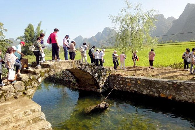 15-Day Classic China Tour with Yangtze Cruise - Xi’an City Wall Morning, Tai Chi Moment, and the Great Mosque in the Muslim Quarter