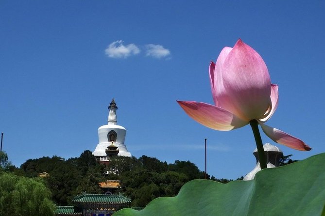 2-Hour Beijing Private Jingshan Coal Hill Park and Beihai Park Walking Tour - Price and value: what $66 buys you in central Beijing