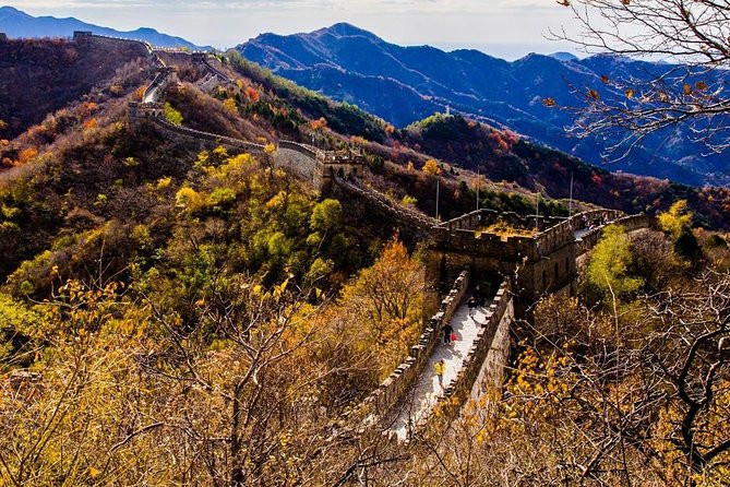 3-Day Private Beijing Tour with Forbidden City, Great Wall, Hutong and Lunch - Olympic Park photo stop and lunch reset