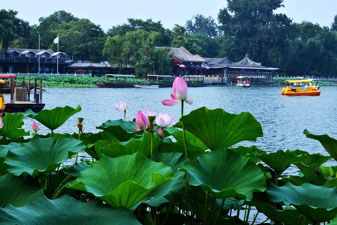 3-Hour Private Hutong Walking Tour with Drum Show at Drum Tower and Tea Tasting - Hutong Lanes, Houhai Views, and a Guide Who Sets the Pace