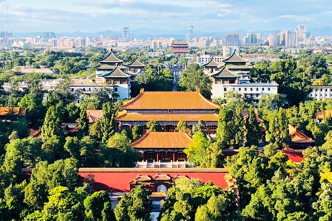 4-Hour Private Tour: Jingshan Park, Hutong & JinDing Xuan Dim Sum - Beijing APM and dim sum break: food, shopping, and a breather