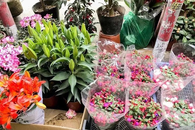 6-Hour Private Beijing Tour: Flower and Fish Market, Panjiayuan Antique Market and 798 Art Zone - What you pay, and why it can feel fair for a private day