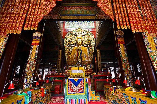 All-inclusive Private Day Trip: Hutongs, Lama Temple & Panda House with Lunch - Morning panda-house visit, and how the early timing helps