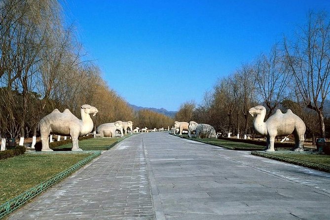 All Inclusive Private Tour to Mutianyu Great Wall and Ming Tombs - Price and value: what $218 per person is really covering