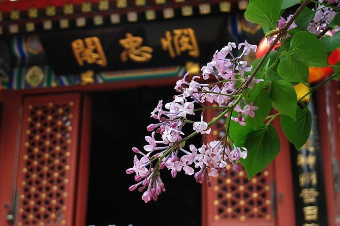 All Inclusive Tour to Mutianyu Great Wall - Cable car and fun options: saving your legs for the views