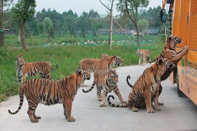 Badaling Wildlife World Private Tour from Beijing - Key Things to Know Before You Go to Badaling Wildlife World