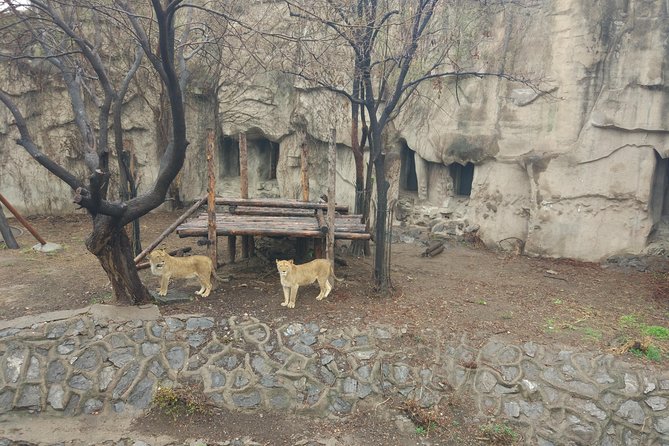 Badaling Wildlife World Private Tour from Beijing - Private Guide and Just Your Party: Why It Matters