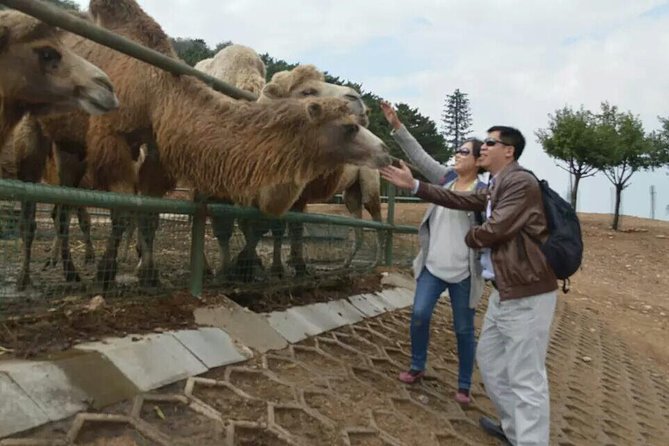 Badaling Wildlife World Private Tour from Beijing - Weather, Comfort, and the Real World Packing List
