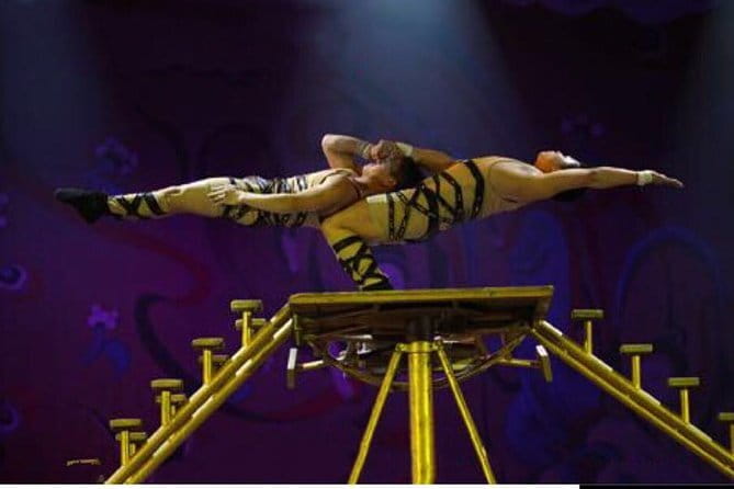 Beijing Acrobatic Show in Red Theater with Guide and Transfer - Timing reality check: show time is one hour, but your trip takes longer