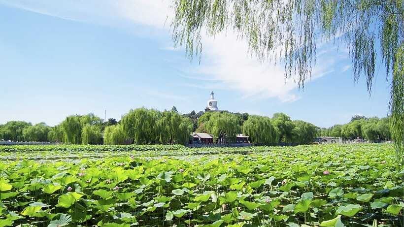 Beijing: Beihai Park Full Access Ticket - Must-See in China - Who this Beihai Park full-access ticket suits best
