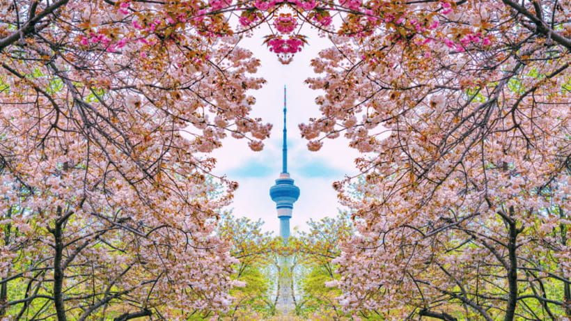 Beijing: Central Radio & TV Tower Observation Deck Ticket - Central Radio & TV Tower, 405 meters of Beijing views
