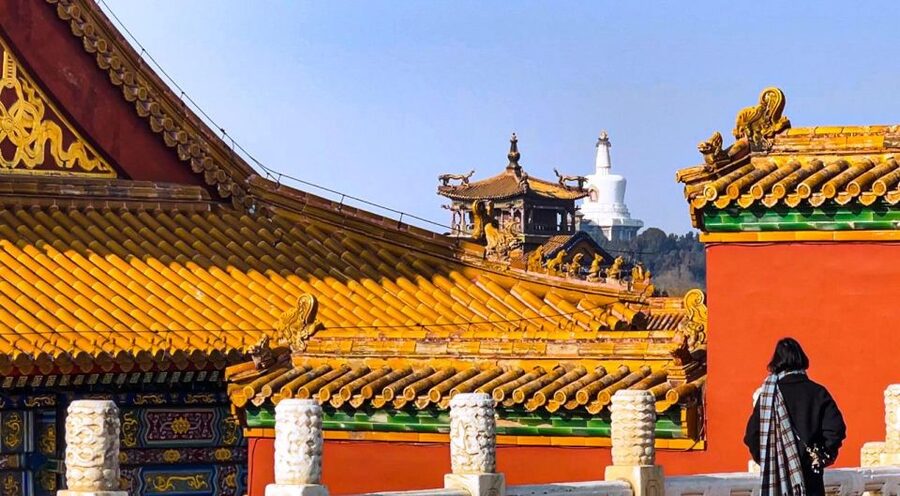 Beijing Classic 2-day Package Tour - Optional acrobats: when extra fun fits your schedule