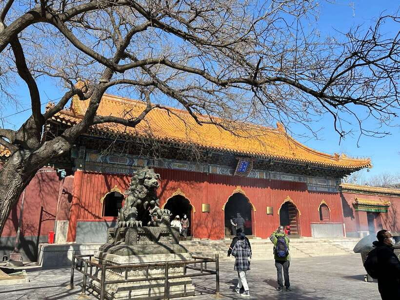 Beijing: Dim Sum Breakfast+Hutong Tour with Optional Add-Ons - A Dim Sum Breakfast That Sets the Tone for Beijing