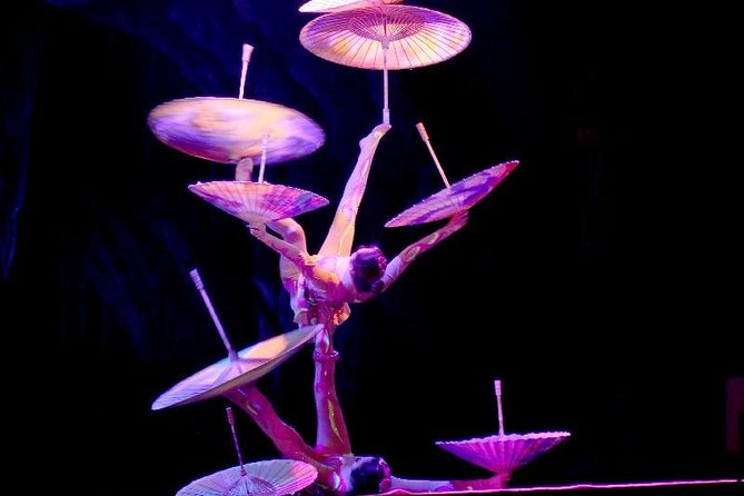 Beijing Evening Acrobatic Show with Hotel Transfer - From your hotel to Dongtu Theater, without the subway stress