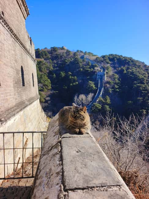 Beijing Forbidden City Private Guide Tour with Options - Custom Timing That Lets You Play the Crowds