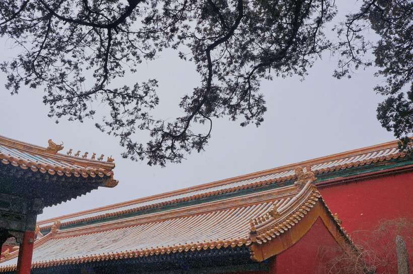 Beijing:Forbidden City & Tian'anmen Square with entry ticket - The Route Focus: Two Halls, Jewelry and Clock Themes, and Your Pace