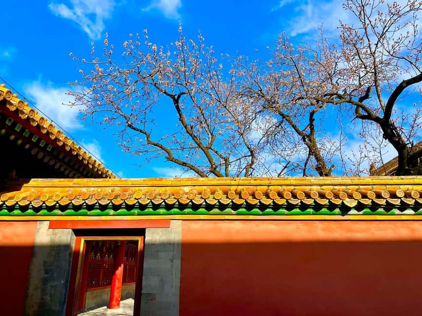 Beijing:Forbidden City Tour--Reveal Secrets Behind Red Walls - Small-Group Quality and the Coco and Molly Factor