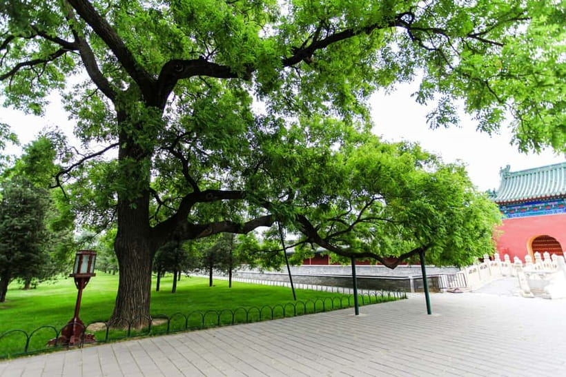 Beijing：Forbidden City Tour—Temple, Summer Palace&Great Wall - Where the Day Starts and Ends: Pickup and Drop-off That Matter