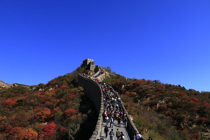 Beijing Group Coach Tour to Mutianyu Great Wall Without Lunch - Why Mutianyu is worth your day, and why this walk feels good