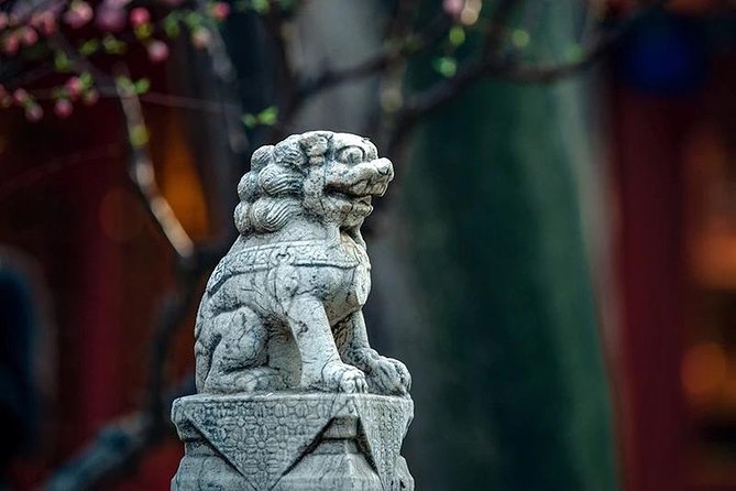 Beijing Half Day Walking Tour-Tiananmen Square and Forbidden City - The slow-paced walking style: how to get the most from it