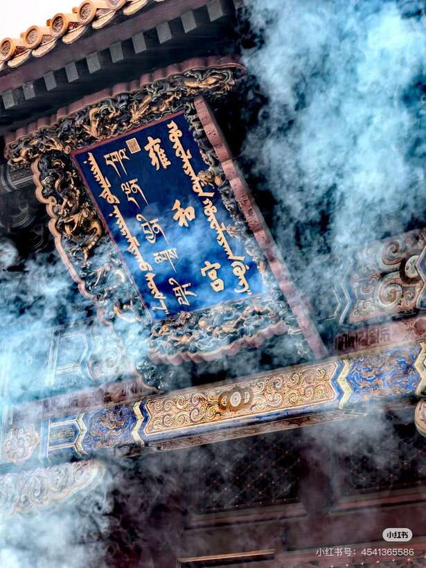 Beijing: Hutong Culture and Tea Tasting Private Tour - Hutong culture and tea, without rushing it