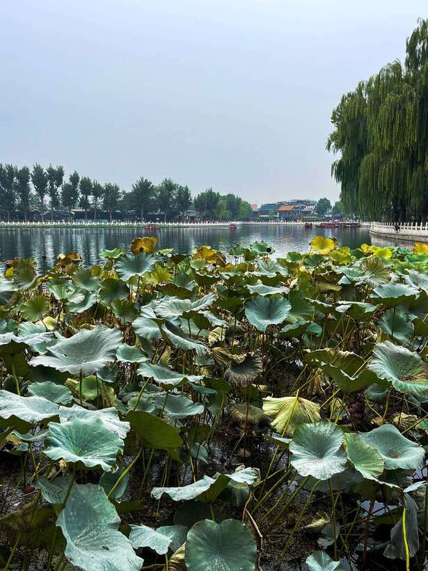 Beijing: Hutongs & Drum Tower City Walking Tour - Price and value, plus tickets and cash notes