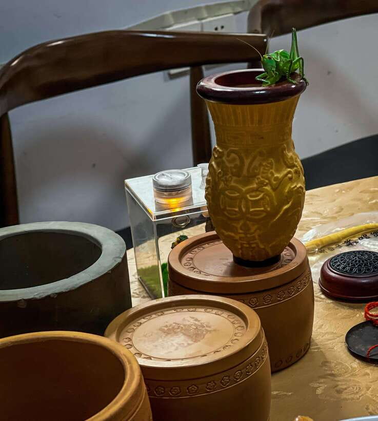 Beijing: Hutongs,Drum Tower & Shichahai Walk /Bike/Food Tour - Walking vs bike: what changes in your experience
