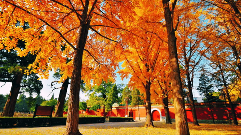Beijing: JingShan park (palace museum garden) entry ticket - Key points before you go