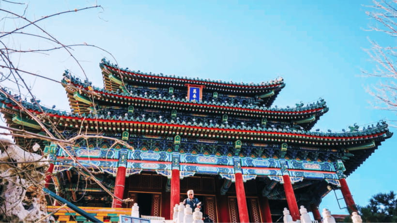 Beijing: JingShan park (palace museum garden) entry ticket - Rare flowers, trees, and imperial-garden walking breaks