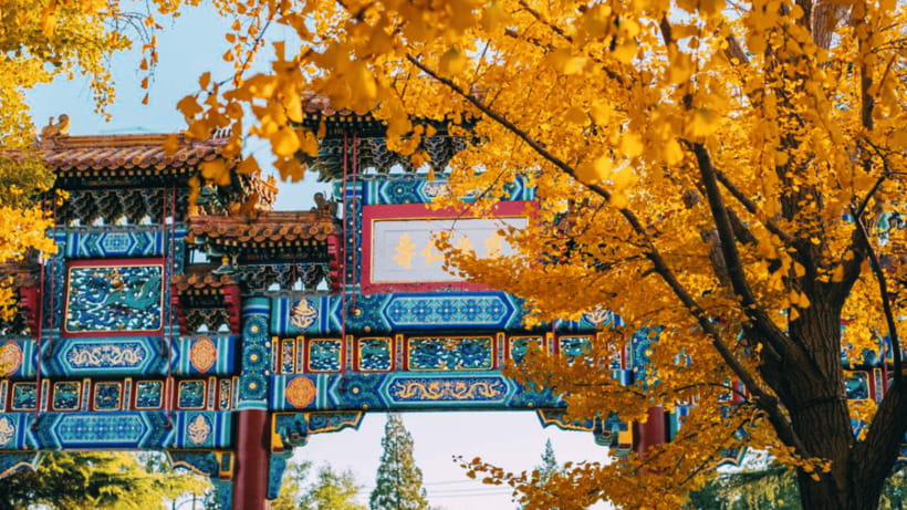 Beijing: Lama Temple (Yonghe Temple) Admission Ticket - What the crowds and incense feel like in real life