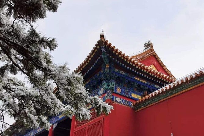 Beijing Layover Tour: Forbidden City, Temple of Heaven and Summer Palace - Beijing Layover Reality Check: Why This Route Works