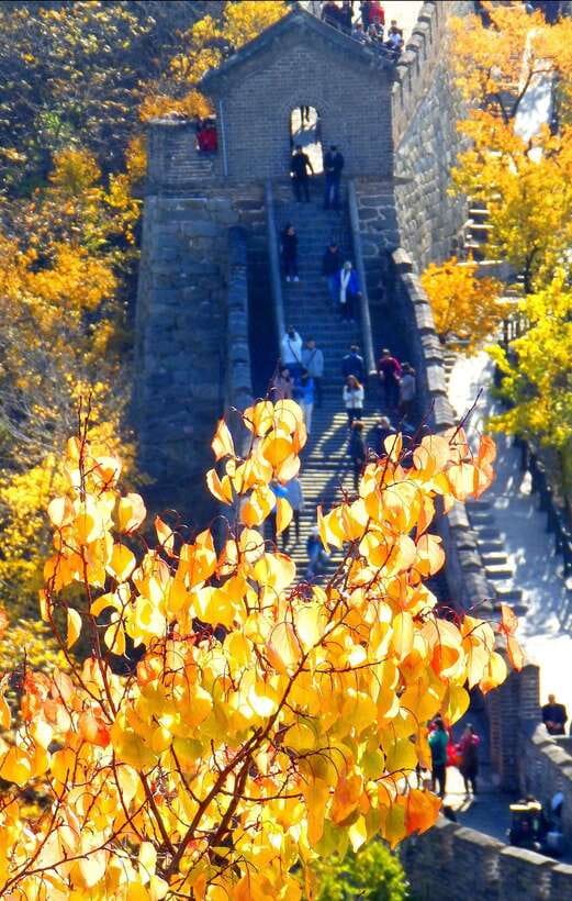 Beijing: Mutianyu Great Wall Bus Tour with Ticket &Cable car - A smooth way to reach Mutianyu without “tour chaos”