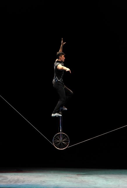 Beijing: Night Tour of Acrobatics Show Including Transfer - Hotel Lobby Pickup at 15:30, Then an Easy Ride to the 16:20 Show