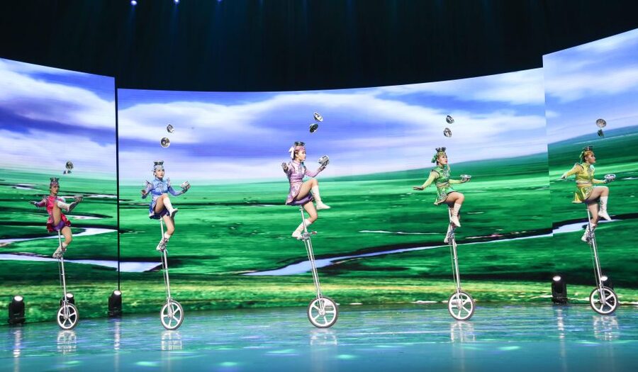 Beijing Night Tour with Acrobatics Show & PekingDuck Dinner - Private Group Comfort, English Guidance, and Skip-the-Line Speed