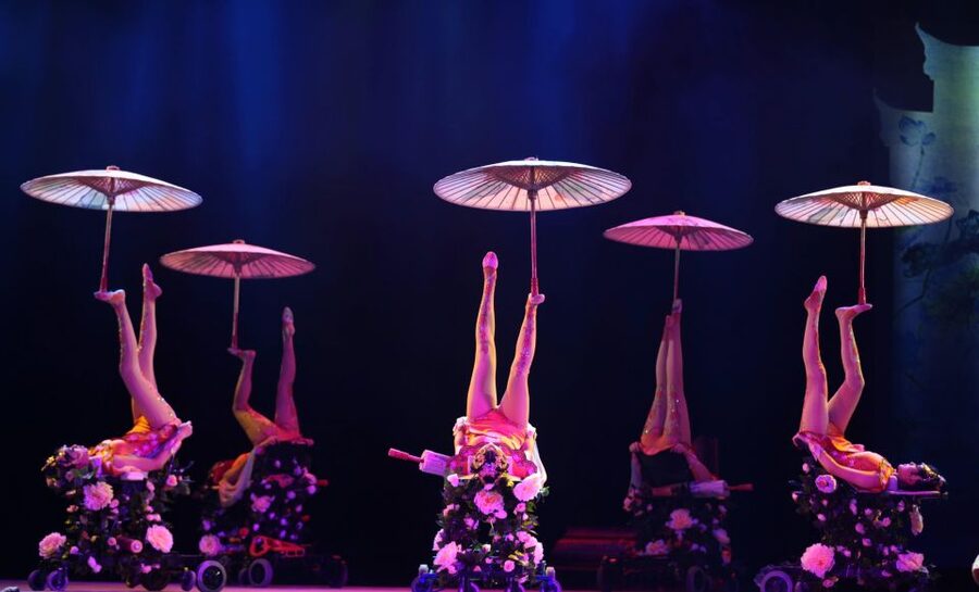Beijing Night Tour with Acrobatics Show & PekingDuck Dinner - Who This Tour Fits Best (And Who Might Want Something Else)