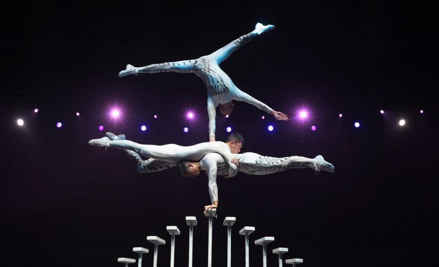 Beijing Night Tour with Acrobatics Show & PekingDuck Dinner - Should You Book This Beijing Night Tour?