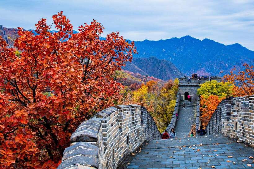 Beijing: Panda House w/Great Wall or City Sites Private Tour - What the day actually feels like, with pacing and transport