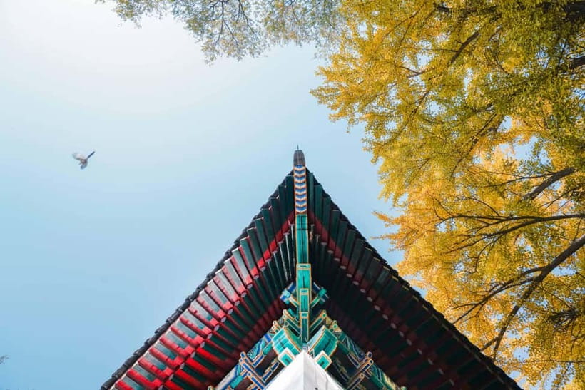 Beijing: Peking University Campus Guided Walking Tour - Cai Yuanpei and the Shift From Yenching University to PKU