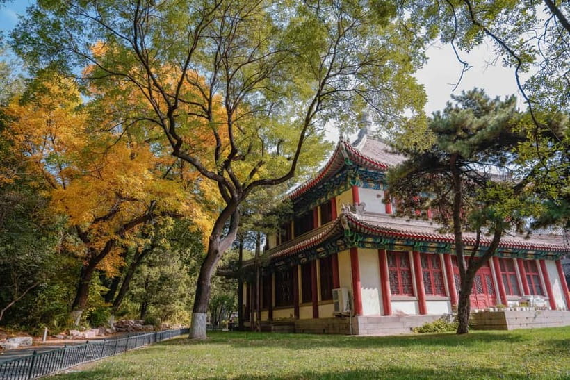 Beijing: Peking University Campus Guided Walking Tour - The Guide Factor: Clear English and a Friendly, Patient Style