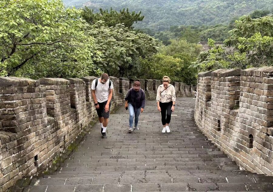 Beijing Private Custom Tour: Licensed Guide&Transfer Service - Great Wall option with private car transfer