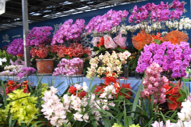 Beijing Private Shopping and Market Day Tour - Lunch on your own: how to make the meal part work for you