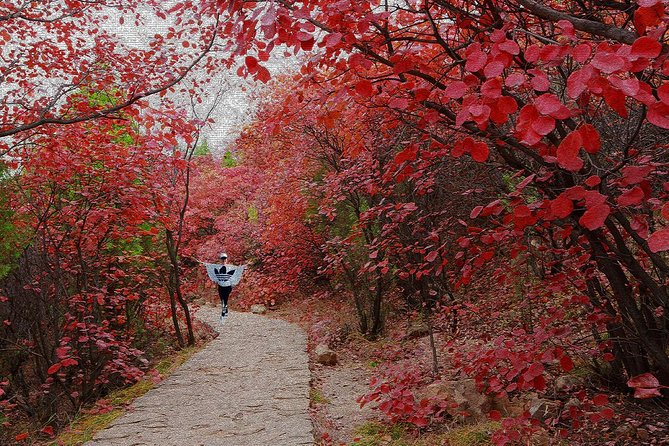 Beijing Private Tour to Summer Palace and Fragrant Hill with Cable Car Ride - A Beijing Break From the Crowd Noise