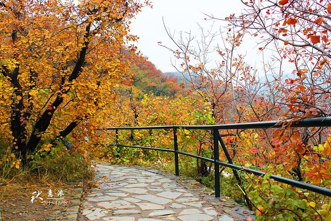 Beijing Private Tour to Summer Palace and Fragrant Hill with Cable Car Ride - Fragrant Hill Afternoon: Autumn Red Leaves and Xianglu Views