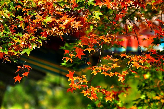 Beijing Private Tour to Summer Palace and Fragrant Hill with Cable Car Ride - Who This Tour Suits Best