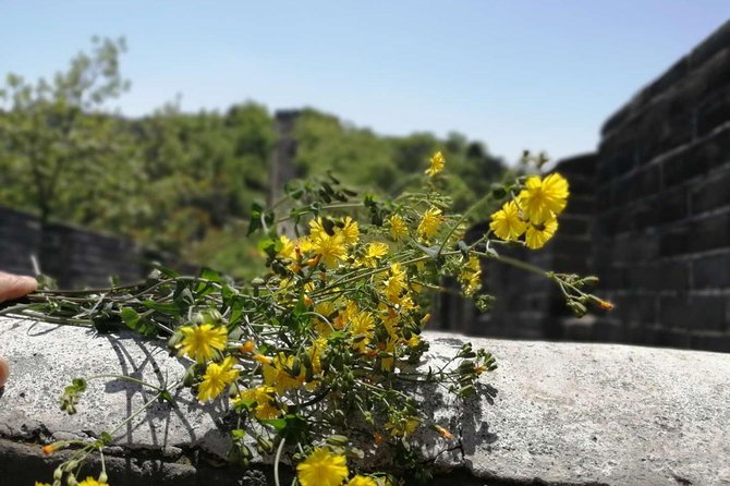 Beijing Private Transfer: Badaling Great Wall with VIP Past Pass - How the VIP past pass helps you actually use your time