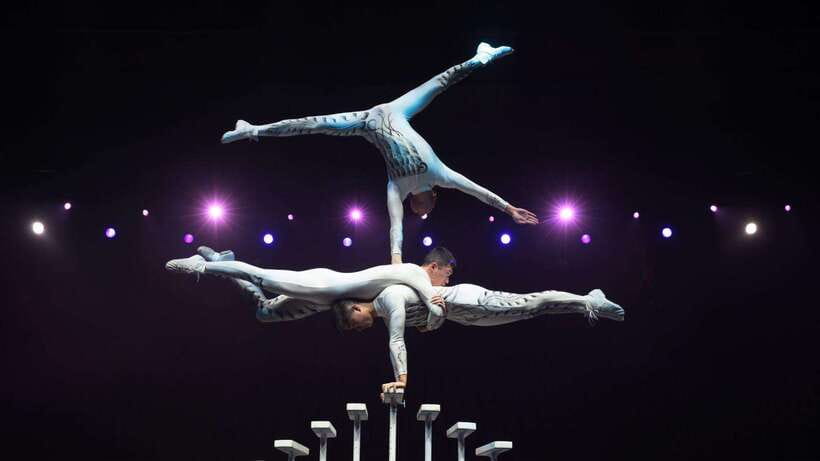 Beijing: Red Theatre Acrobatics Show Ticket-Local Must-See - Martial arts flavor with Jiu-jitsu and physical control