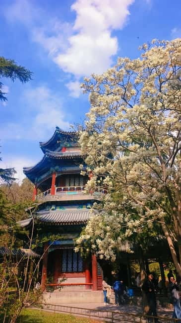 Beijing: Summer Palace Highlight Walking Tour - Who should book this Summer Palace highlight walk?