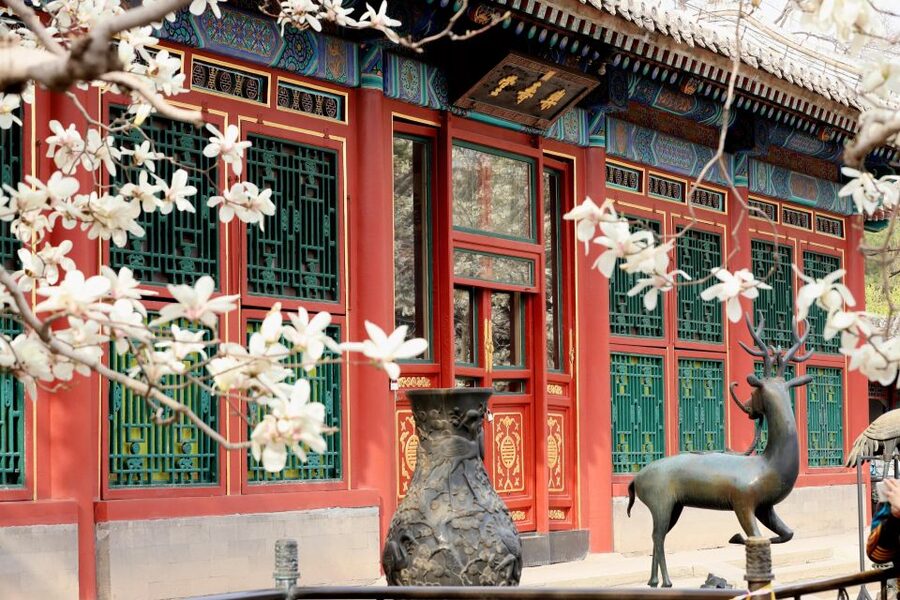 Beijing: Summer Palace, Sacred Road&Ming Tombs Private Tour - Key things you will notice on this tour