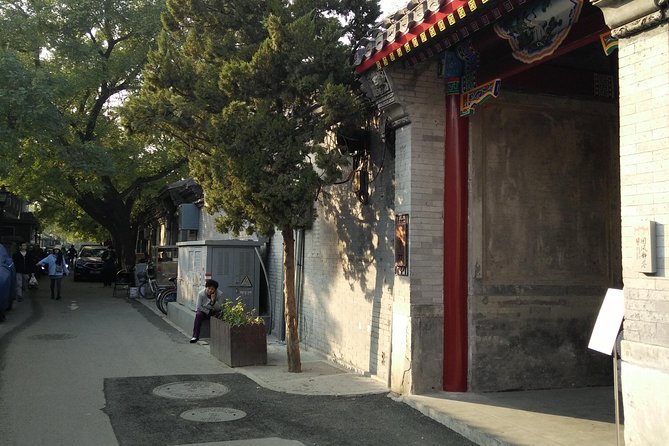 Beijing Tailored Privated Day Trip by Licensed Driver - Temple of Heaven and Lama Temple Options for Culture Focus