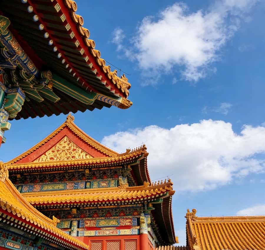 Beijing: Temple of Heaven and Forbidden City Private Tour - Forbidden City: How a Private Guide Stops It From Becoming a Maze